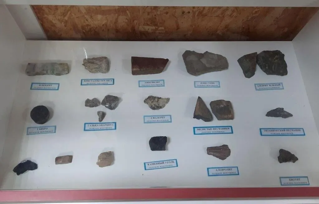 photo_2024-11-08_14-08-34